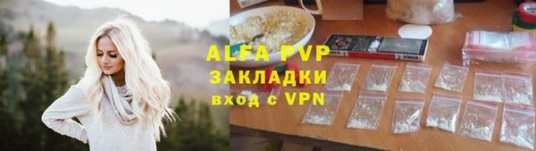 прущий лед Новозыбков