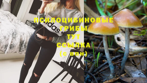 соль курить ск Новодвинск