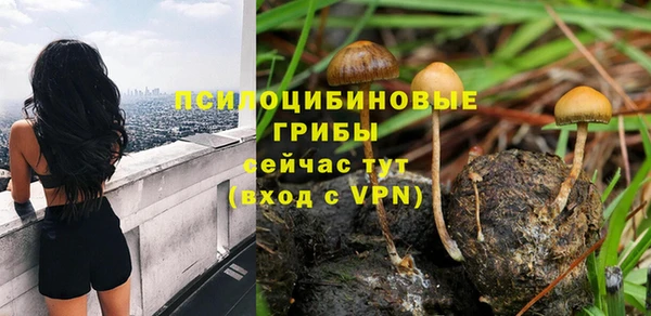 прущий лед Новозыбков