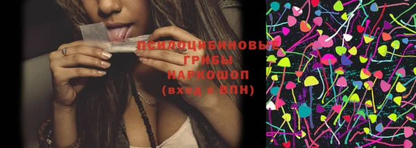 прущий лед Новозыбков