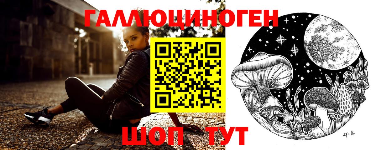 Сертолово  Псилоцибиновые грибы ЛСД  Вход с VPN 